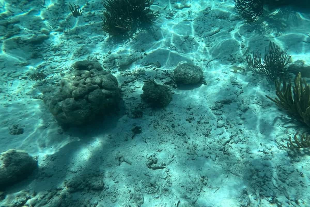 White Sands Cove San Pedro  Bagian luar foto