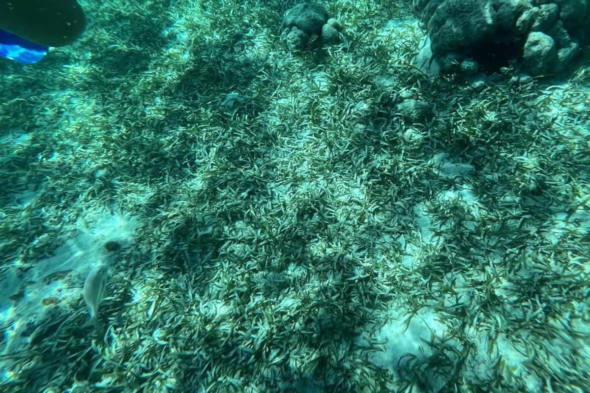 White Sands Cove San Pedro  Bagian luar foto